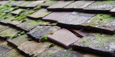 Talsarn roof repair costs